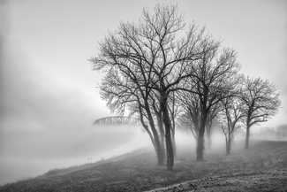 Foggy Shores of the Ohio Foggy Shores of the Ohio