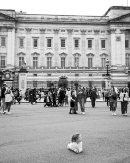 Buckingham Palace-Time to take a break Buckingham Palace-Time to take a break