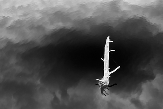 Reflection (2) Reflection (2)