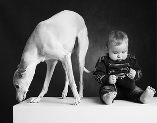 Don't mind me Don't mind me