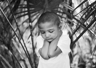 In the shed of the palm trees In the shed of the palm trees