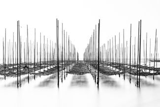 Japanese Sketch Japanese Sketch