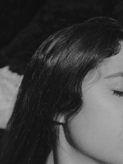 Plate 7, Profile Plate 7, Profile