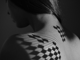 Plate 24, Generative Moire Plate 24, Generative Moire