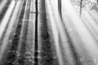 Let there be light Let there be light