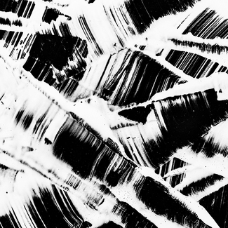 Cliche Verre Cliche Verre