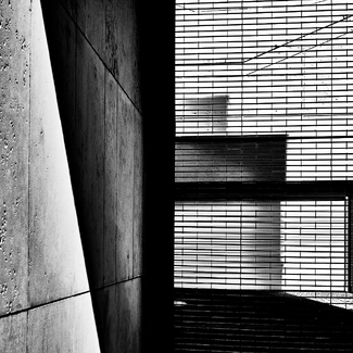 Lines Composition Lines Composition