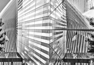 Oculus Reflecting Oculus Reflecting