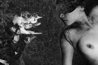 Untitled 48A Untitled 48A