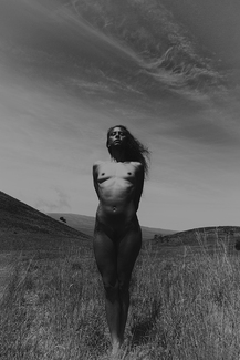 Lei Lilium - Presence Lei Lilium - Presence