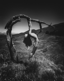 Lei Lilium in Valley 6 Lei Lilium in Valley 6