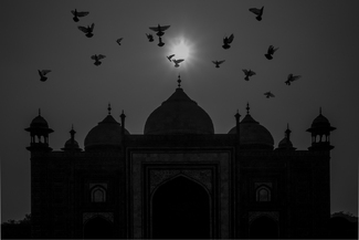 Faith Fills The Skies Faith Fills The Skies