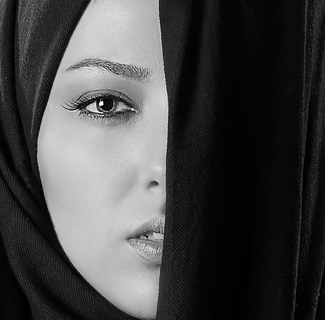 Hidden Half Hidden Half