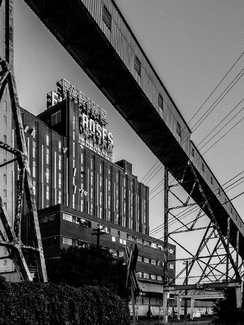 Five Roses Five Roses