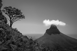 Lions Head Lions Head