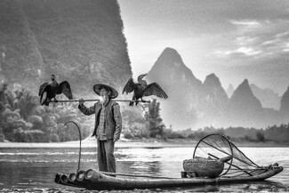 Cormorant Fisherman Cormorant Fisherman