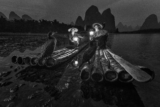 Cormorant Fishermen Cormorant Fishermen