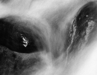 shape of water 3 shape of water 3