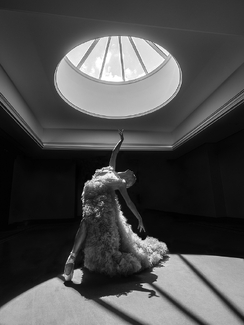 Prima Ballerina Prima Ballerina