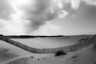 The Hague Dunes