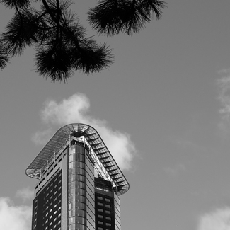 The Hague Tower The Hague Tower