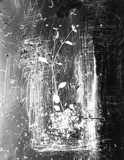 Song of Autumn in the Springtime, Rubén DarÃo Song of Autumn in the Springtime, Rubén DarÃo