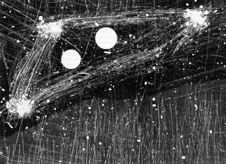 Constellation Constellation