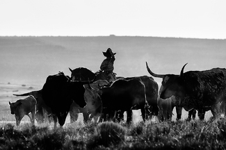 Morning Ride Morning Ride