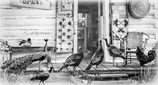 The Meet Up The Meet Up