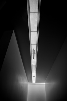 Walking Home Walking Home