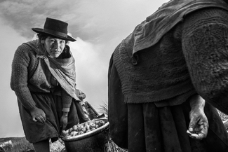Potato farmers Potato farmers