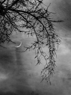 Pushing the Moon Pushing the Moon