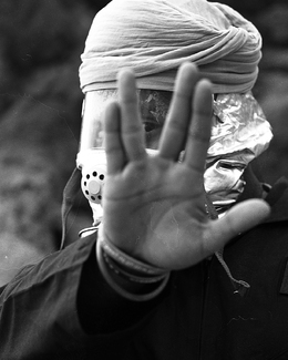 Live Long and Prosper Live Long and Prosper