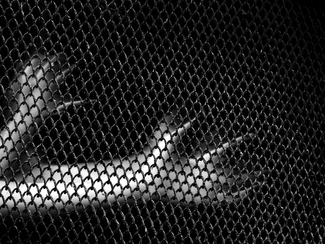 Give that to me. Give that to me.