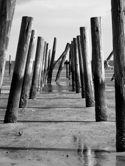 Shoreline Skeleton Shoreline Skeleton