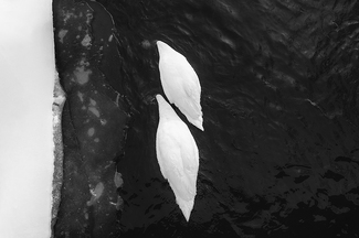 Penetration. Penetration.