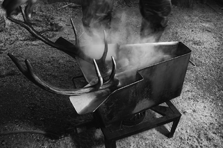 The trophies. The trophies.