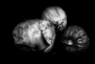 Tomatillos Tomatillos