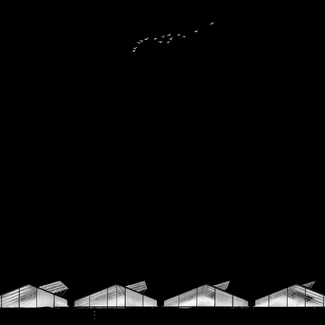 Night Flight Night Flight