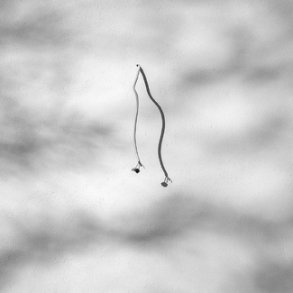 Available Light Available Light