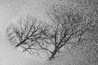 Into Ambiguity Into Ambiguity