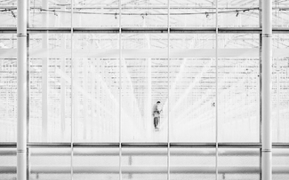 At Work in the Greenhouse At Work in the Greenhouse