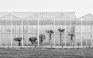 Hibernating Hibernating