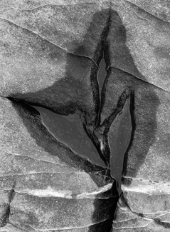 Rock Puddle Rock Puddle