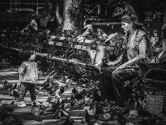 Pigeon Man and the Girl Pigeon Man and the Girl