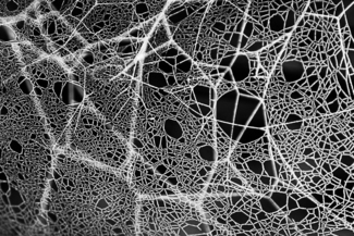 Web of Ice