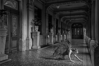 Fallen Angel Fallen Angel