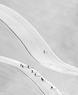 Come On Boys! Come On Boys!