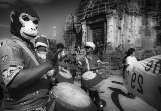 Celebrate the Monkey Celebrate the Monkey