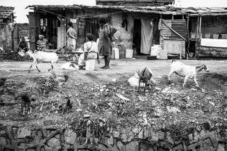 Namuwongo Main street Namuwongo Main street